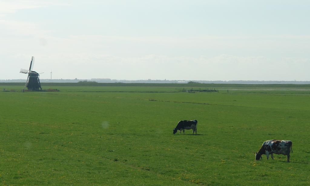 Lyklamastate Nijemirdum Экстерьер фото